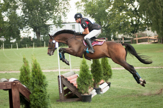 Refleksja z zawodów